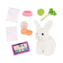 Our Generation - Posable 18-inch Doll & Storybook Set and "Summer Pet Friends"