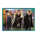 Trefl Puzzles - 10in1 -  In the world of Harry Potter / Warner Harry Potter