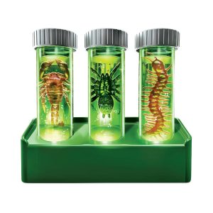 4M - KidsLabs - Glow Critter Lab