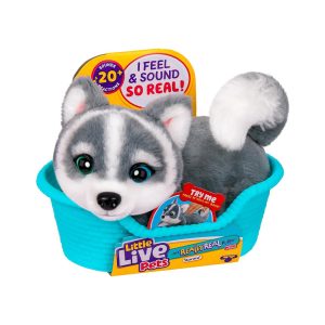 Bingo – Toys for Kids in Egypt | Buy Online from Bingo Toys Store