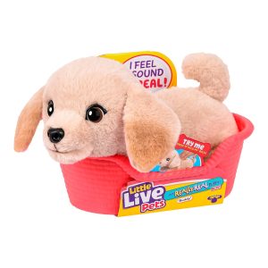 Bingo – Toys for Kids in Egypt | Buy Online from Bingo Toys Store