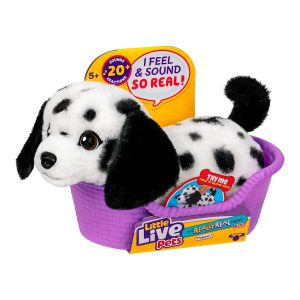 Bingo – Toys for Kids in Egypt | Buy Online from Bingo Toys Store