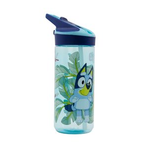BLUEYSTOR MEDIUM ECOZEN PREMIUM BOTTLE 620ML
