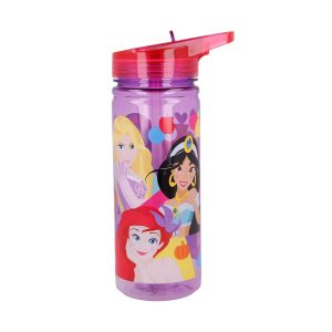 PRINCESS LARGE ECOZEN BOTTLE 580 ML