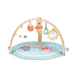 DB Winnie the Pooh Hunny Hangout Activity Gym